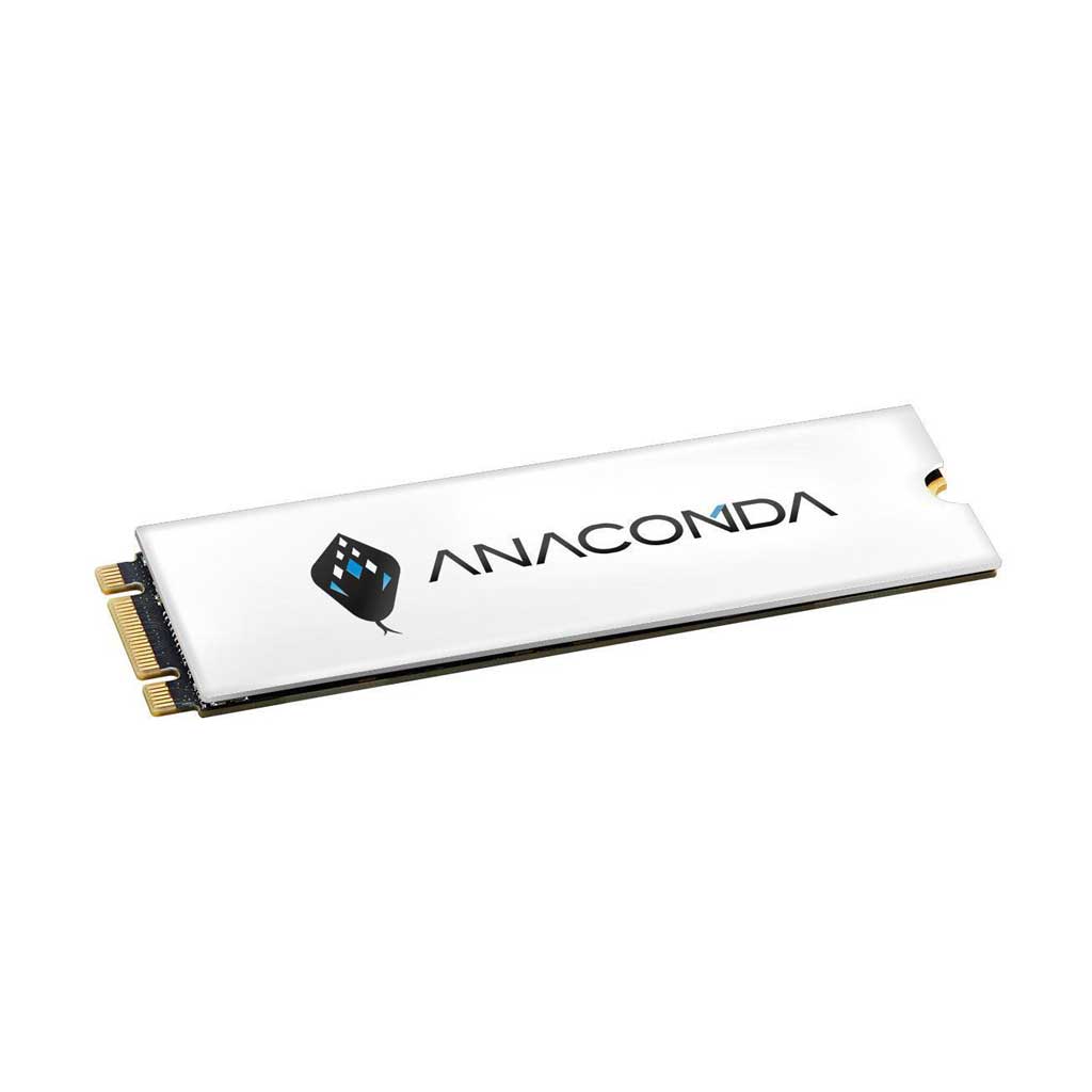 Disque SSD M.2 PCIe3 Anacomda i3,  512Go Blanc (i3 512)