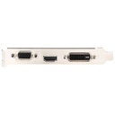 Carte graphique GeForce GT710 MSI GT 710 2GD3H LP _ 912-V809-3814