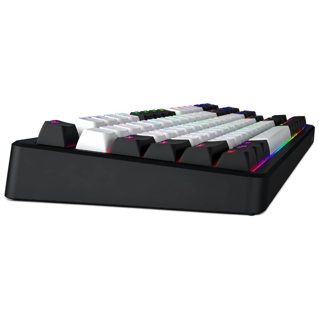 Clavier Sans fil Bluetooth/RF Hator Rockfall3 TKL Wireless, Noir/Blanc/LED _ HTK850FR
