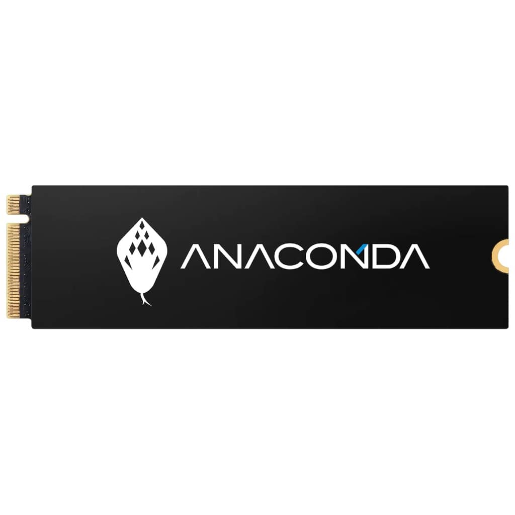 Disque SSD M.2 PCIe3 Anacomda i2, 256Go (i2 256)