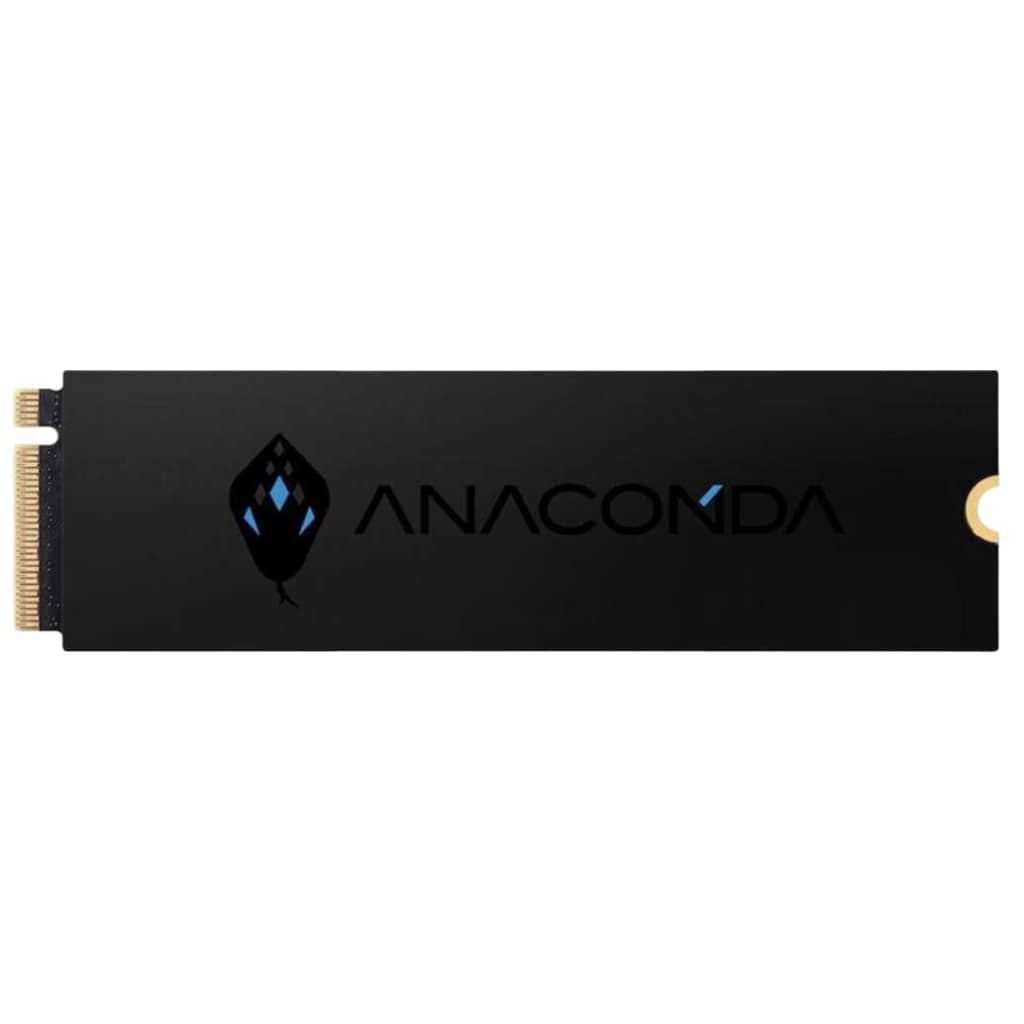 Disque SSD M.2 PCIe4 Anacomda i4X, 1To _ i4X 1TB