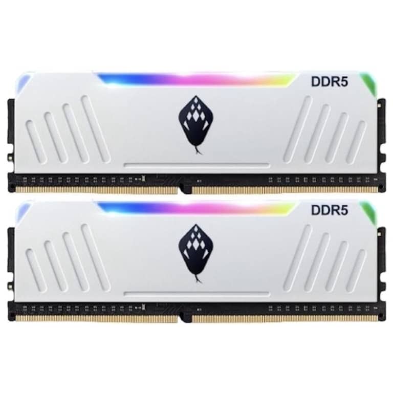Mémoire DIMM DDR5 6000MHz Anacomda D5 RGB, 32Gb (2x 16Gb) Blanc RGB _ D5RGB 6000 2x16G Wh