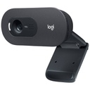Webcam Logitech C505e, Noir _ 960-001372