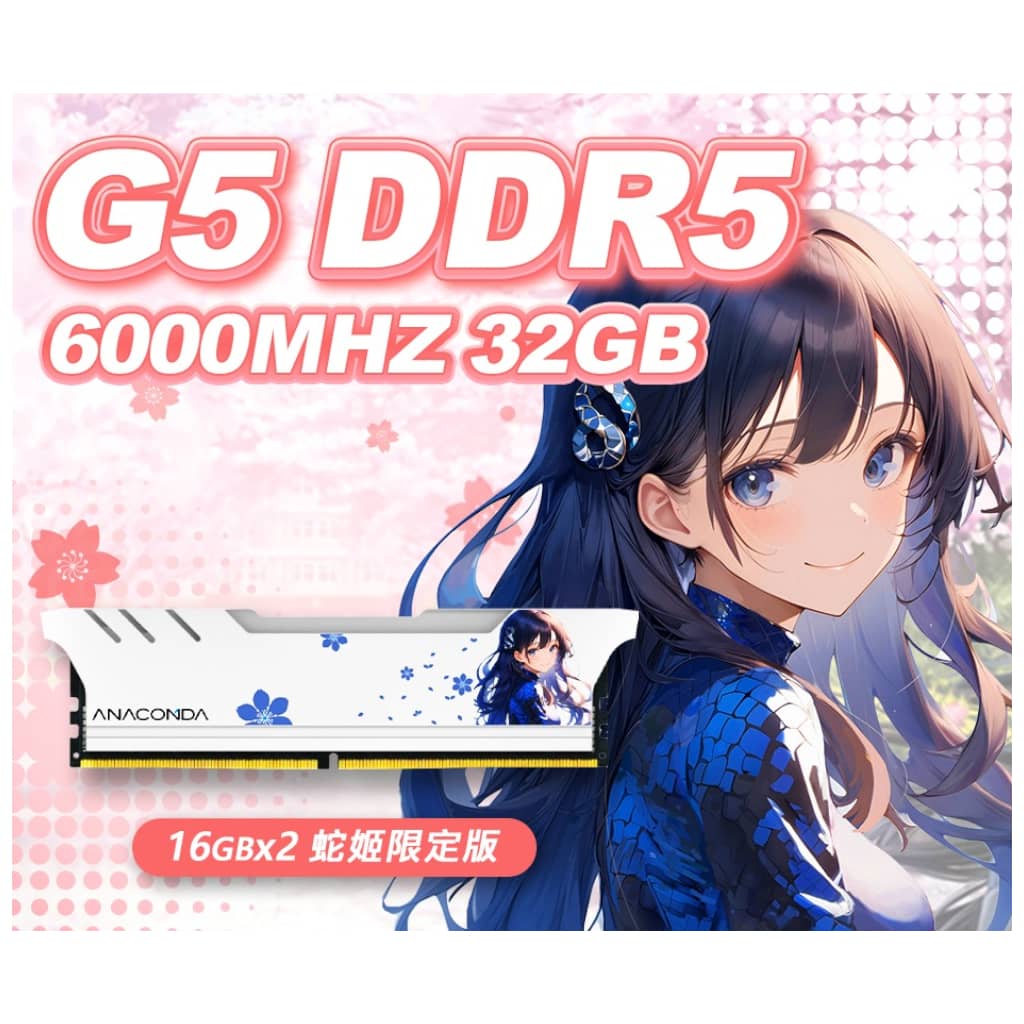 Mémoire DIMM DDR5 6000MHz Anacomda G5 Python, 32Gb (2x 16Gb) Blanc/Nini _ D5G16 Nini Limited