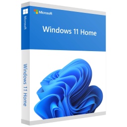 [L_OSMIC-905304] Système d'exploitation Windows 11 Home (KW9-00636)