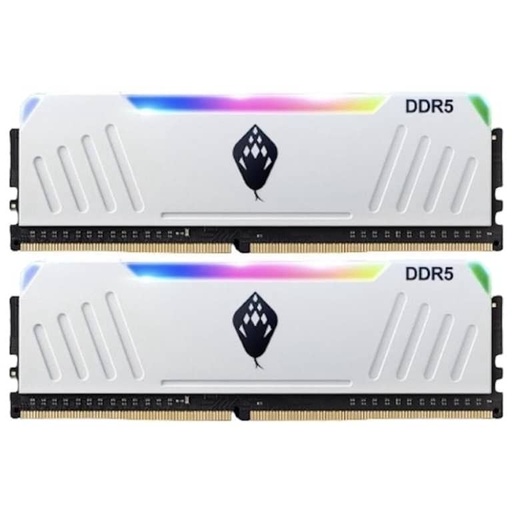 [I_MEANA-866188] Mémoire DIMM DDR5 6000MHz Anacomda D5 RGB, 32Gb (2x 16Gb) Blanc RGB _ D5RGB 6000 2x16G Wh