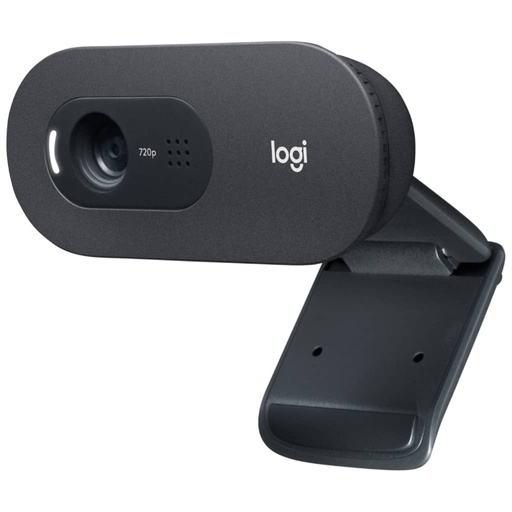 [P_WCLOG-163806] Webcam Logitech C505e, Noir _ 960-001372