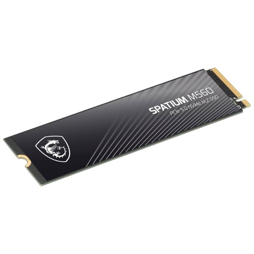 [I_DDMSI-275347] Disque SSD M.2 PCIe3/PCIe4/PCIe5 MSI SPATIUM M560, 1To _ S78-440L0F0-P83