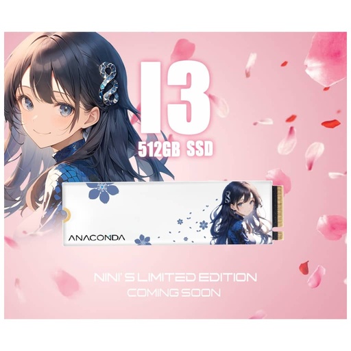 [I_DDANA-861992] Disque SSD M.2 PCIe3 Anacomda i3, 512Go _ i3 512GB Nini Limited